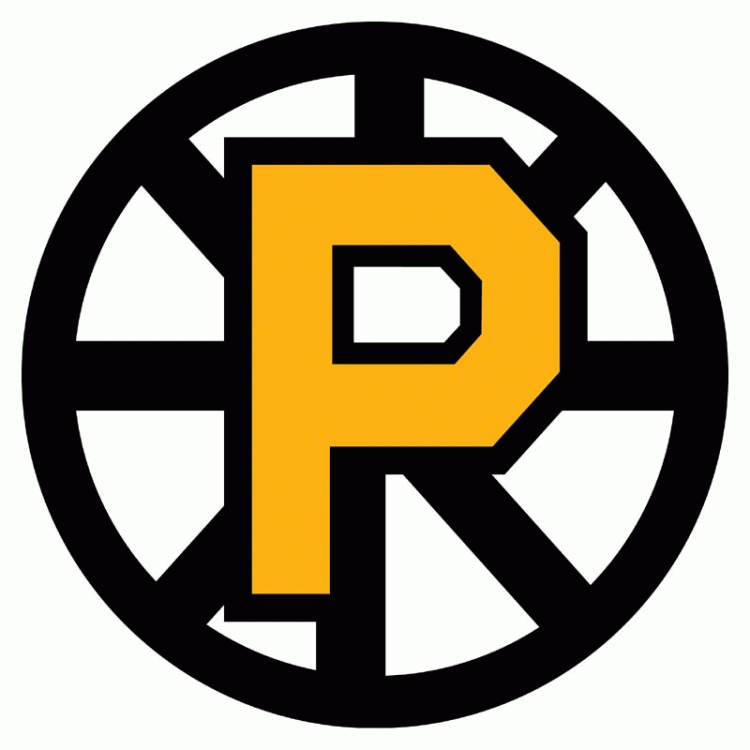 Providence Bruins 2012 13-Pres Primary Logo iron on transfers for T-shirts